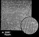 ripple.jpg (9530 oCg)