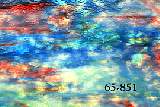 tn_65-851.jpg (5972 バイト)