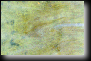 1025hs.gif (5492 oCg)